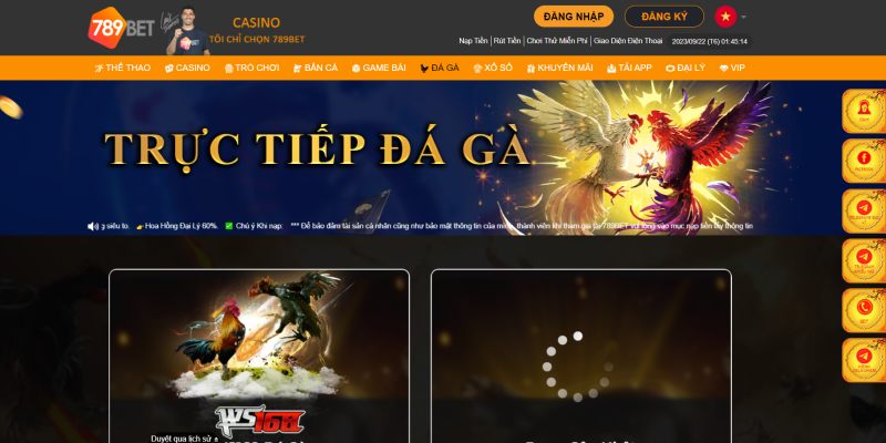 Quy trình để tân binh tham gia đặt cược Đá Gà Casino 789bet